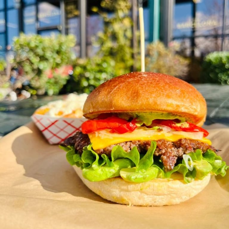 Kids Burger Delight